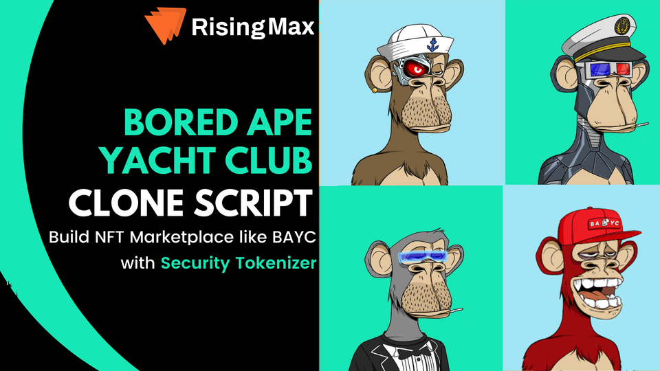 BAYC Clone | How To Build a Bored Ape Yacht Club NFT Marketplace BAYC?